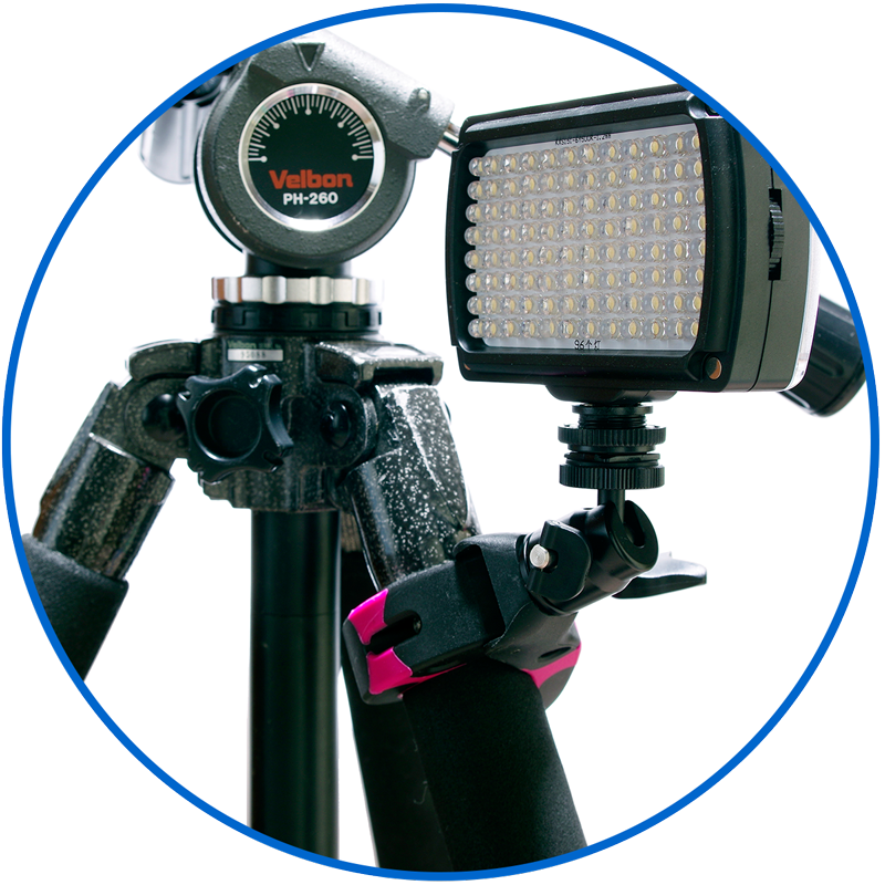 camera holder for tripod
