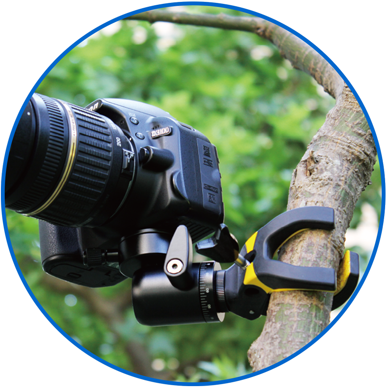 standard camera mount
