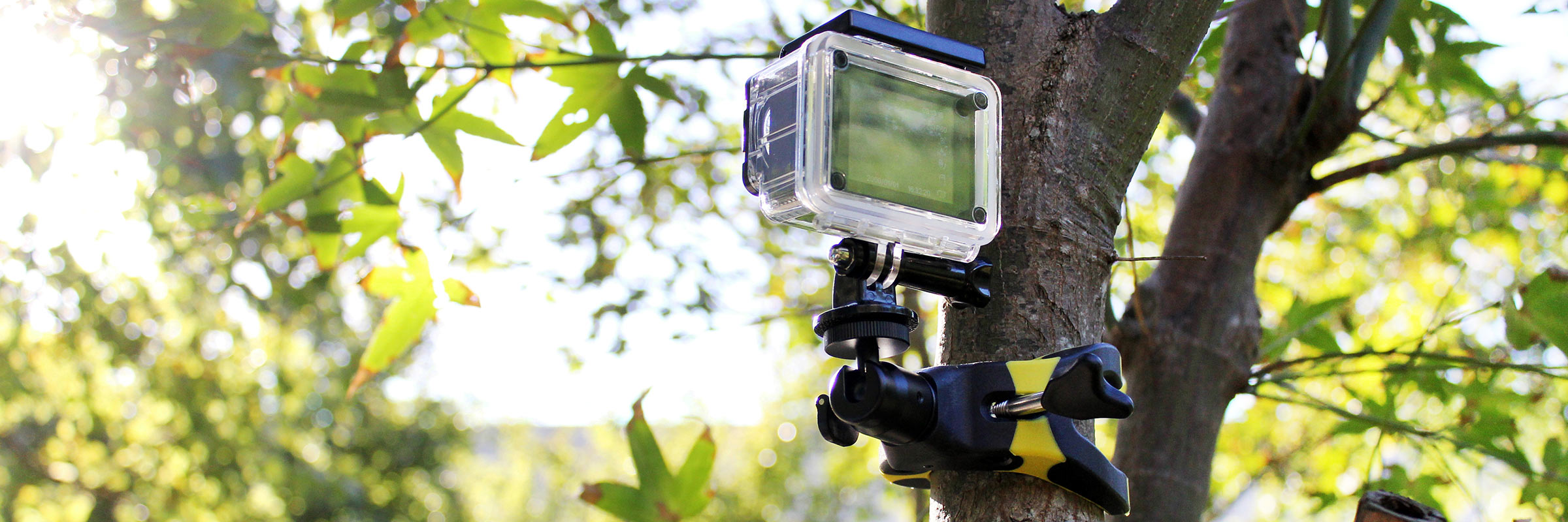 bike mount for phone