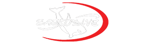 SAEKODIVE