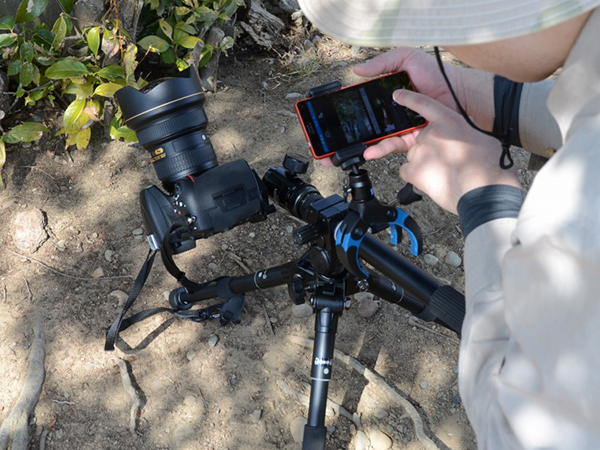 for all photographiers