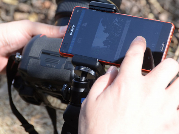 catch everywhere